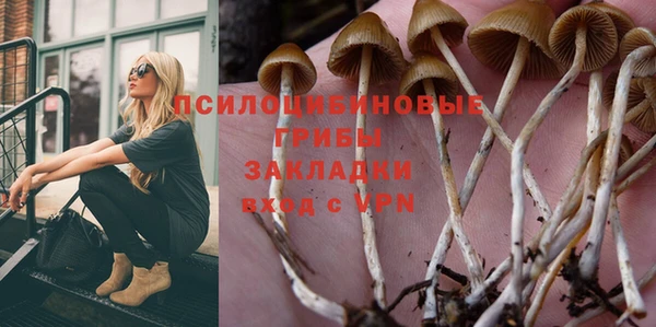 трава Саяногорск